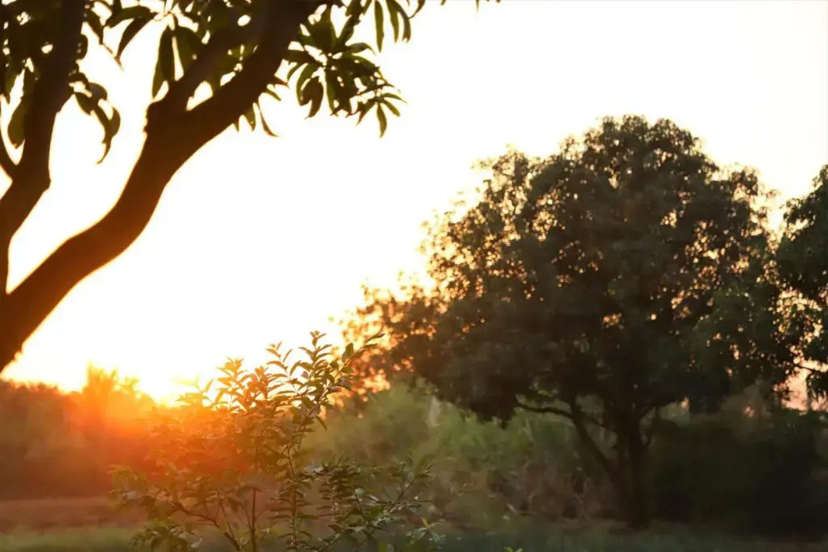 Wilderness Camp 200mtr from Devaliya Park