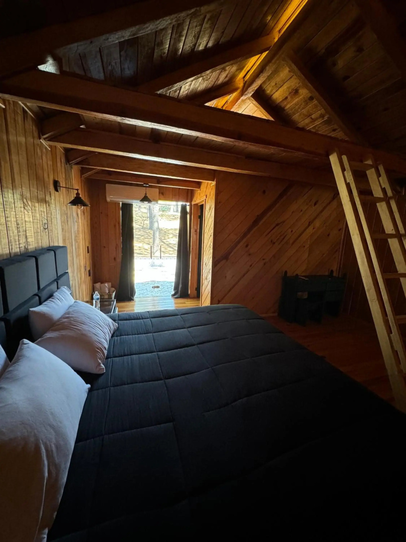 PINE TREE Hotel Boutique & Cabañas