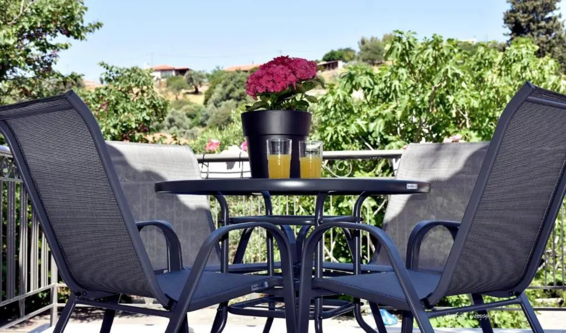 Althea Village House