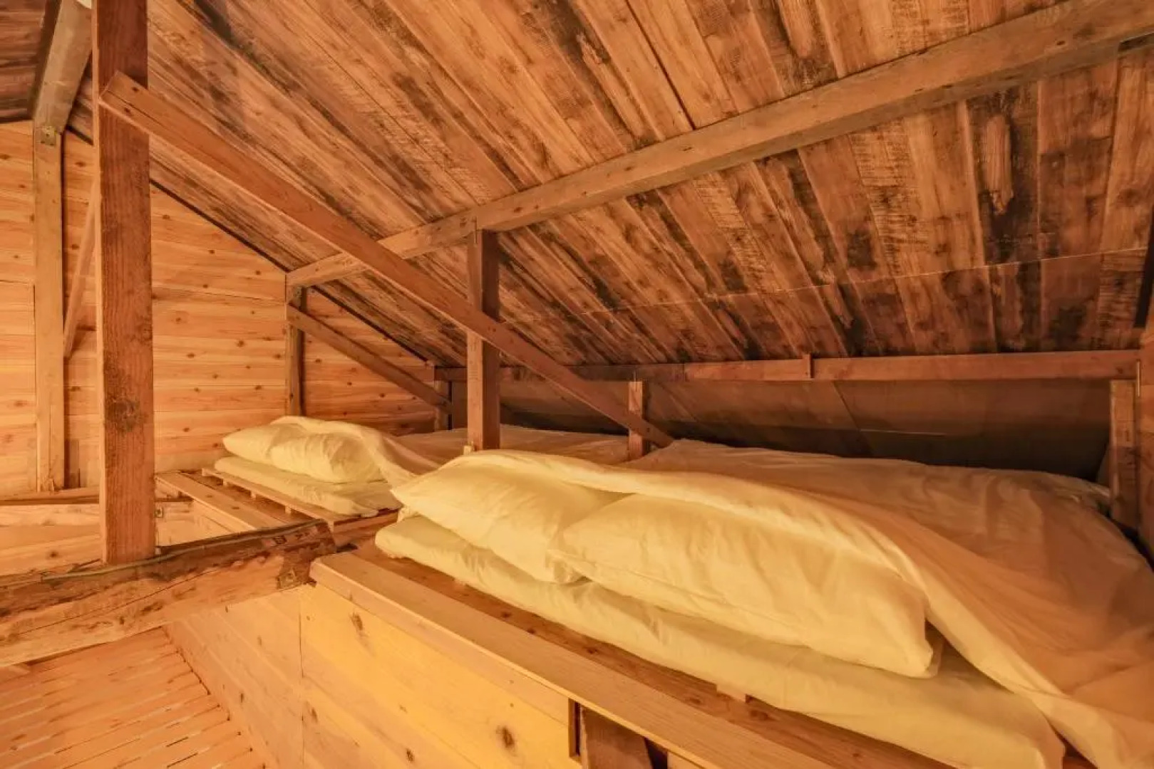 南箱根ツリーハウス