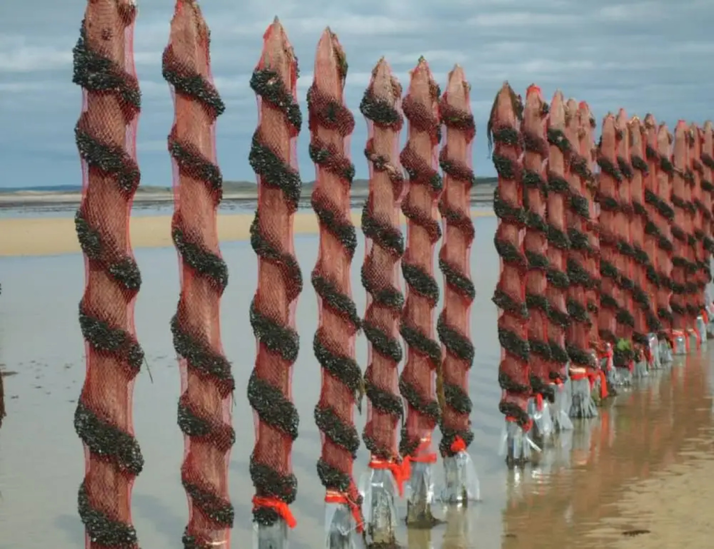 Escales dans les dunes