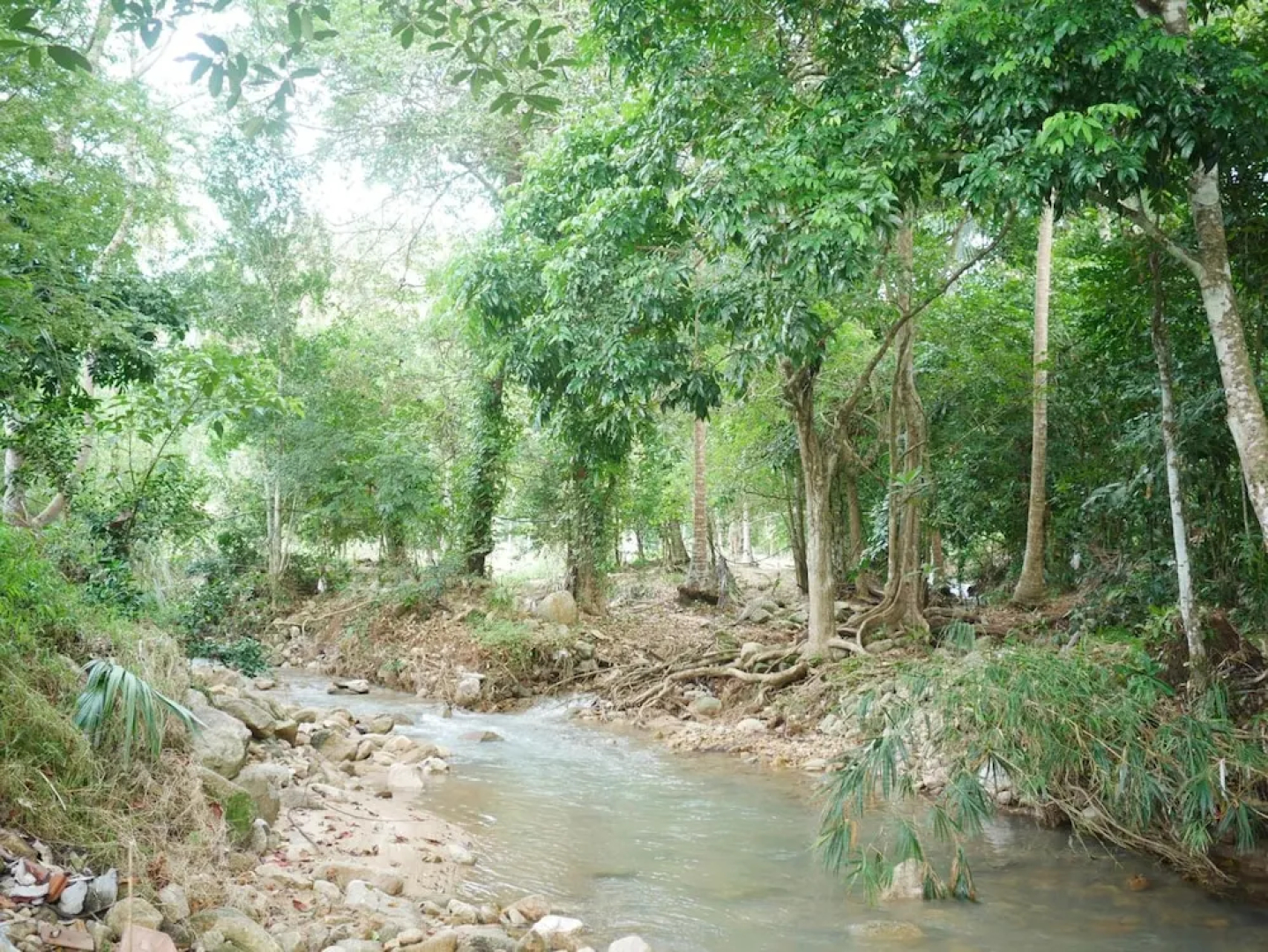 Tara Resort Samui