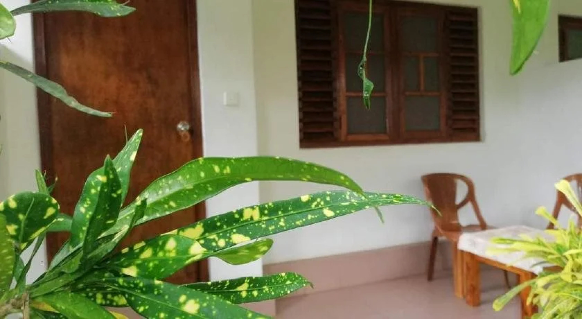 Palm Garden Guest House