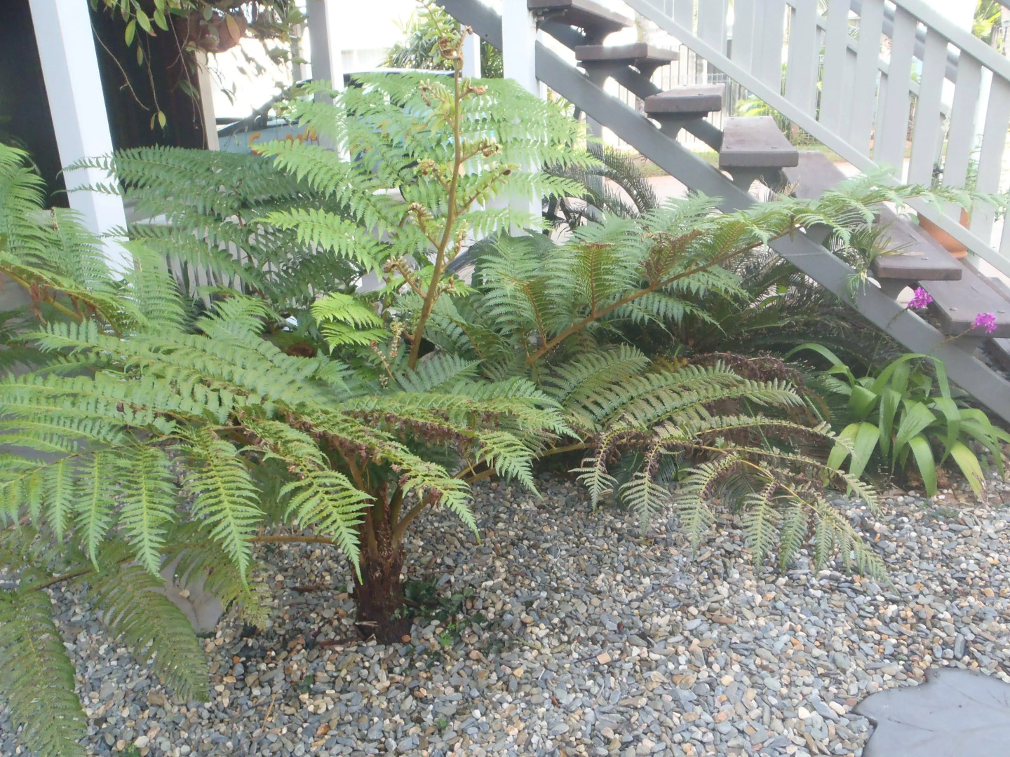 Driftwood Bed and Breakfast