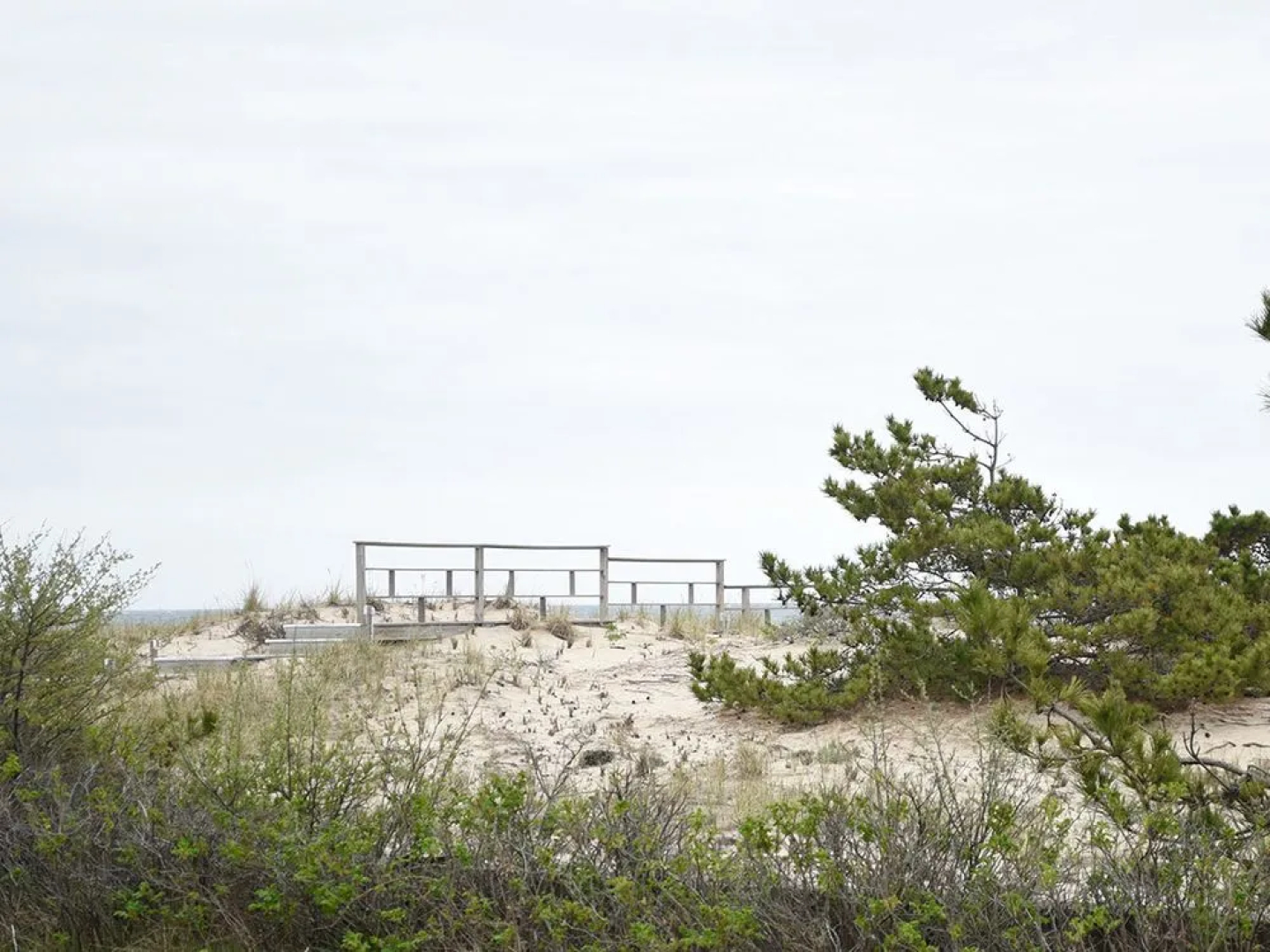 Sea Crest Resort