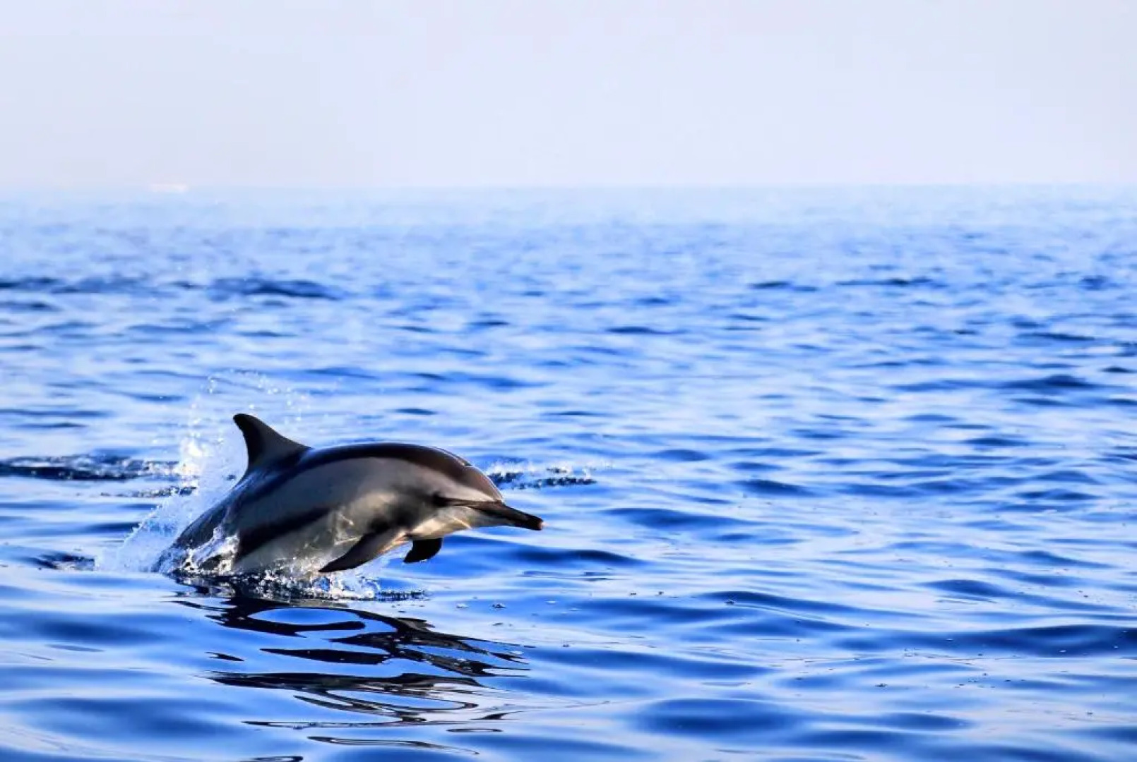 Puri Saron Baruna Beach