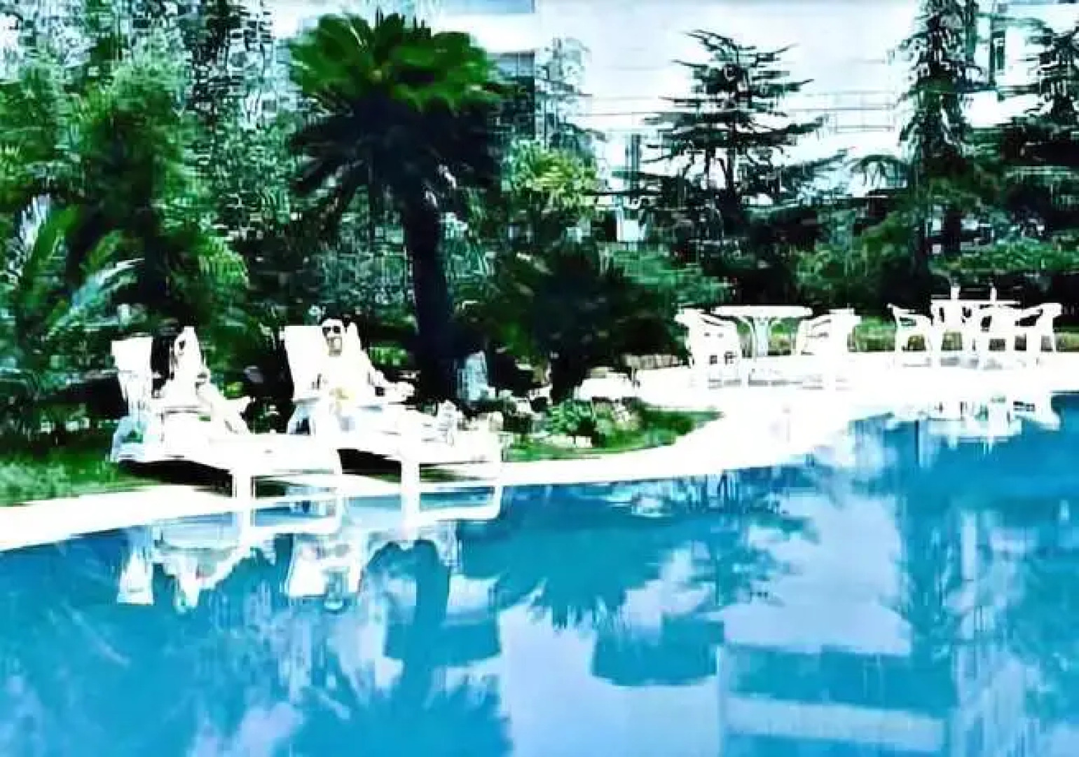 Lakeside Camphor Tree Hotel