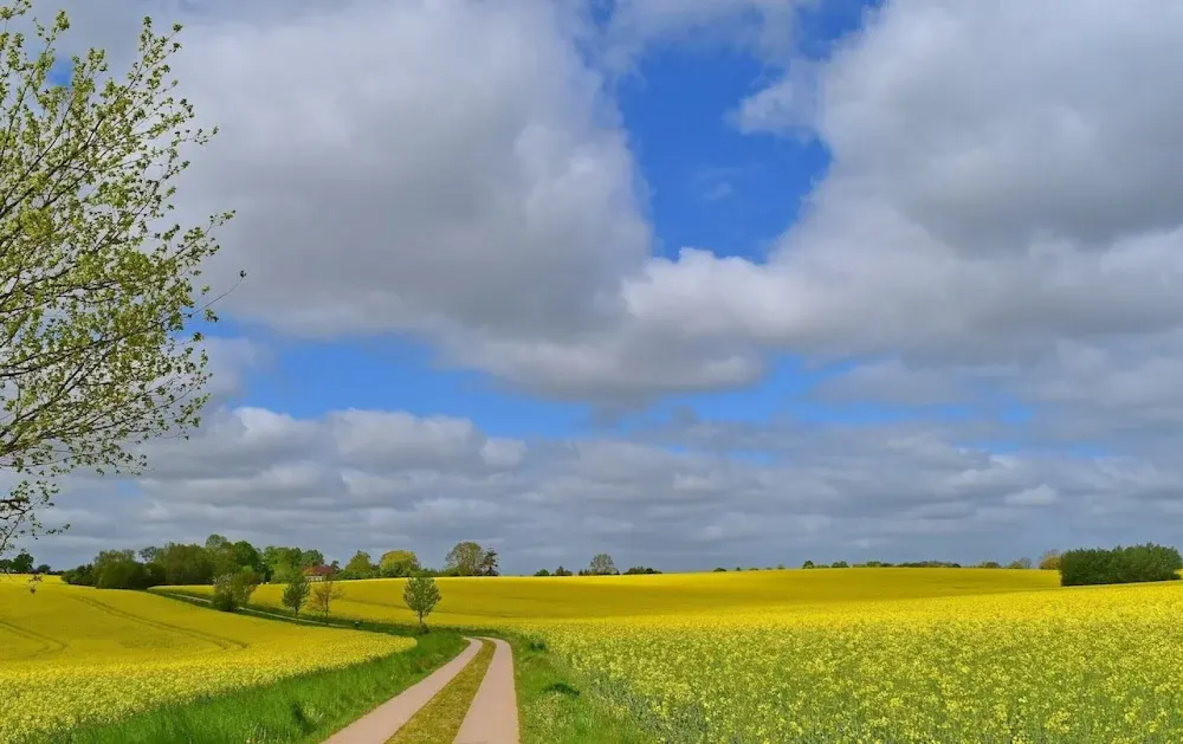Apartment fur 3 in Schulenbrook