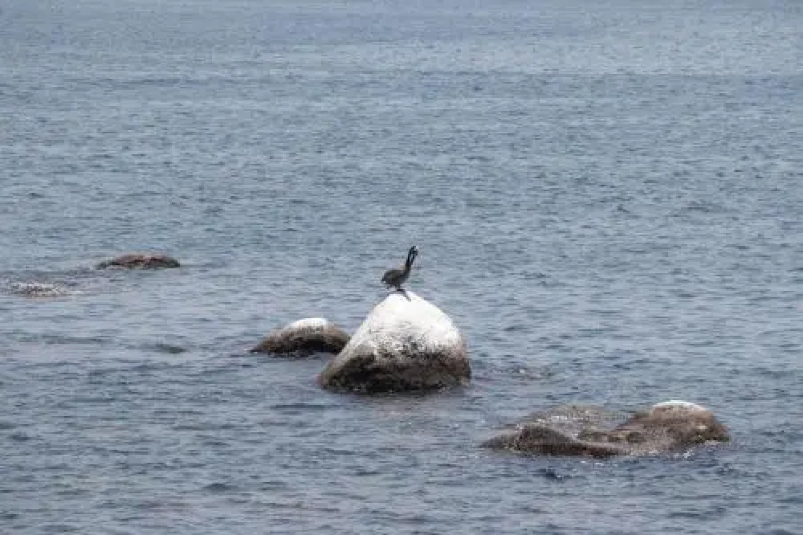 Condominio Acagutty 1b