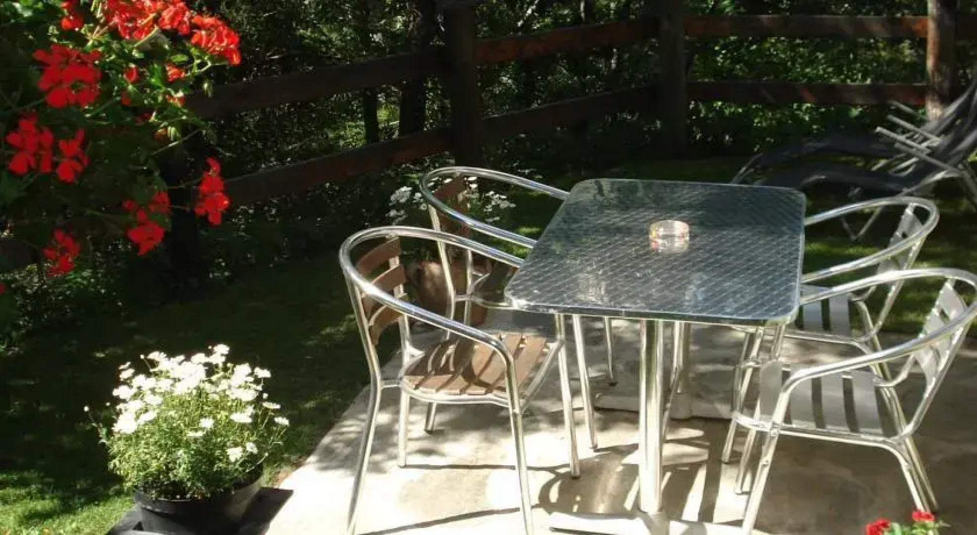 Marmotta di Montagne