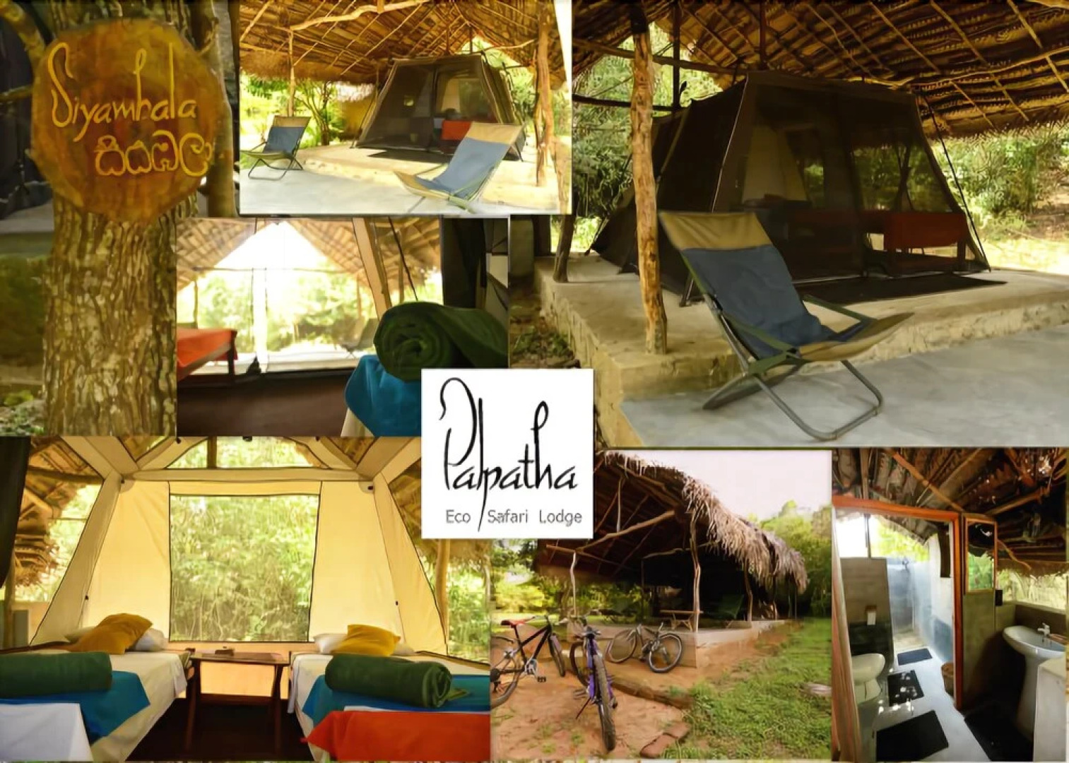 Palpatha Eco Safari Lodge