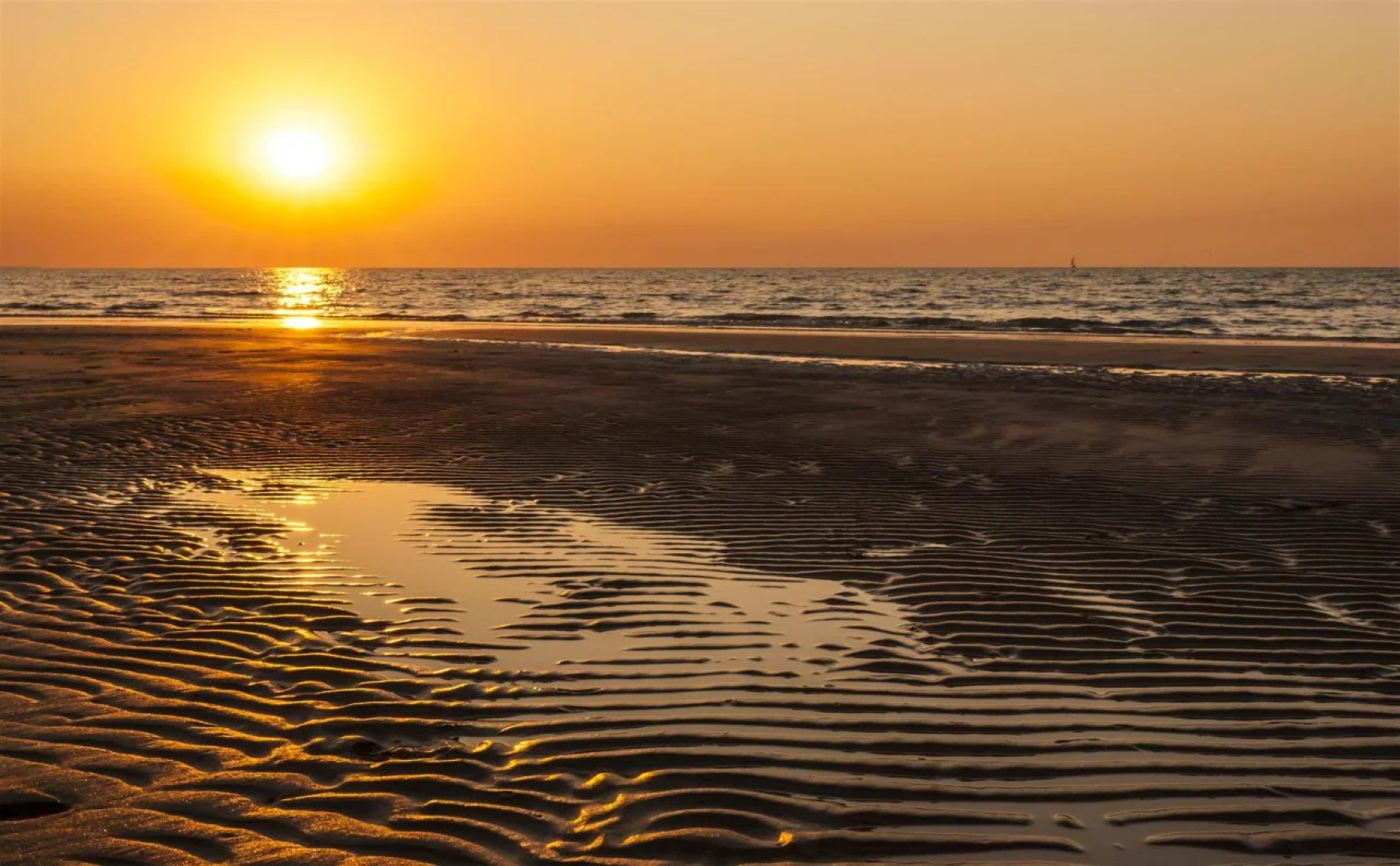 Coconut Grove Holiday Apartments