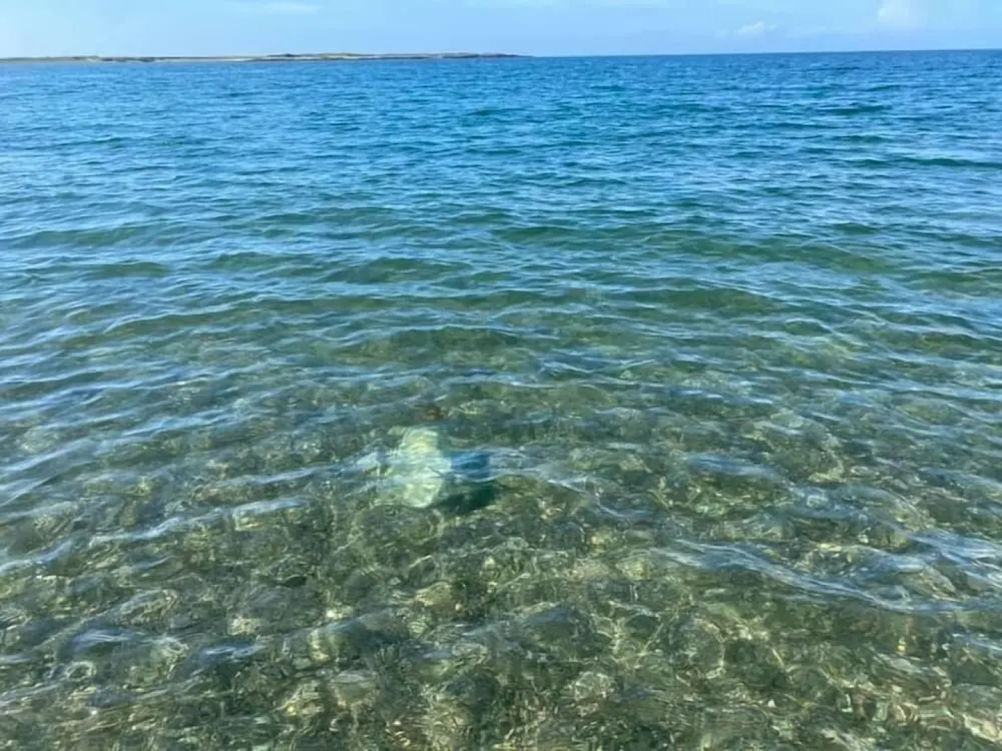 Cosy Annexe Sleeps 4