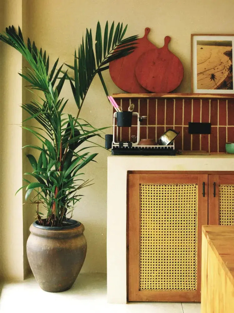 Soul Temple of Surfing