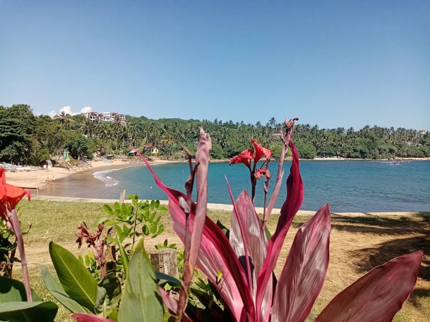 Surf Paradise Hotel