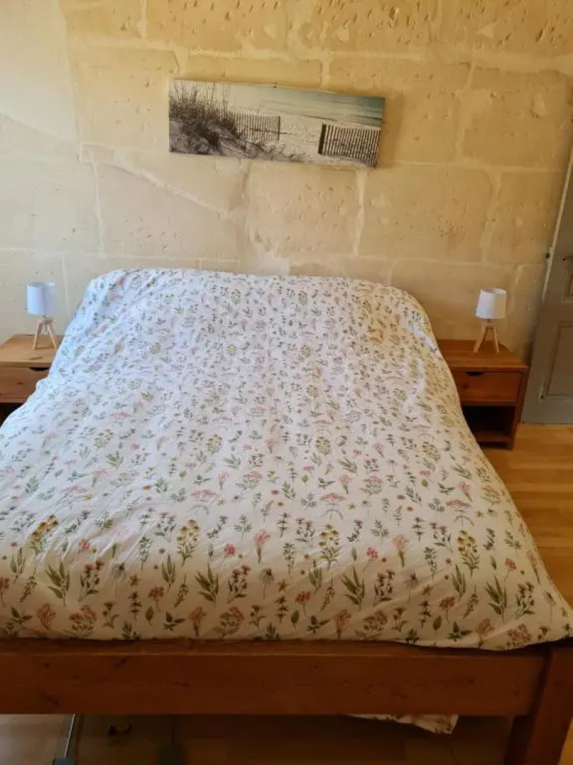 L'olivier et la lavande