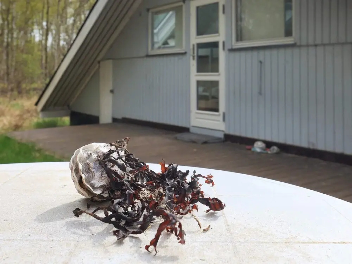 Comfortablle Holiday Home in Nordjylland near Sea