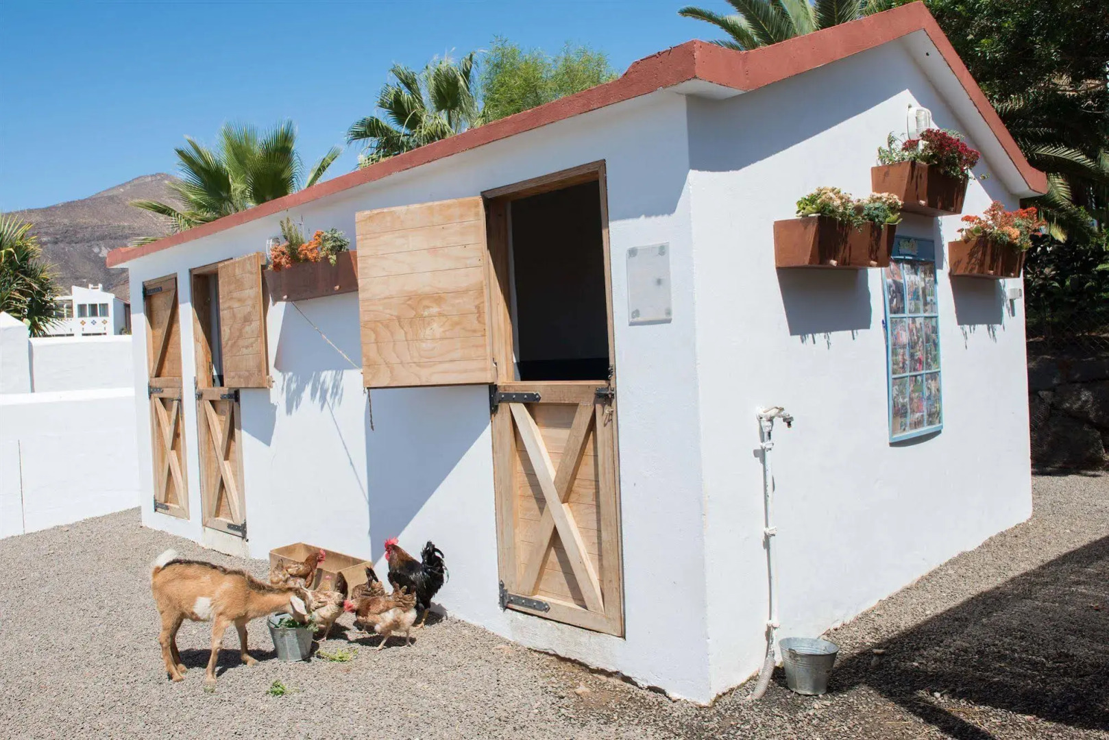 Club Jandía Princess - All Inclusive