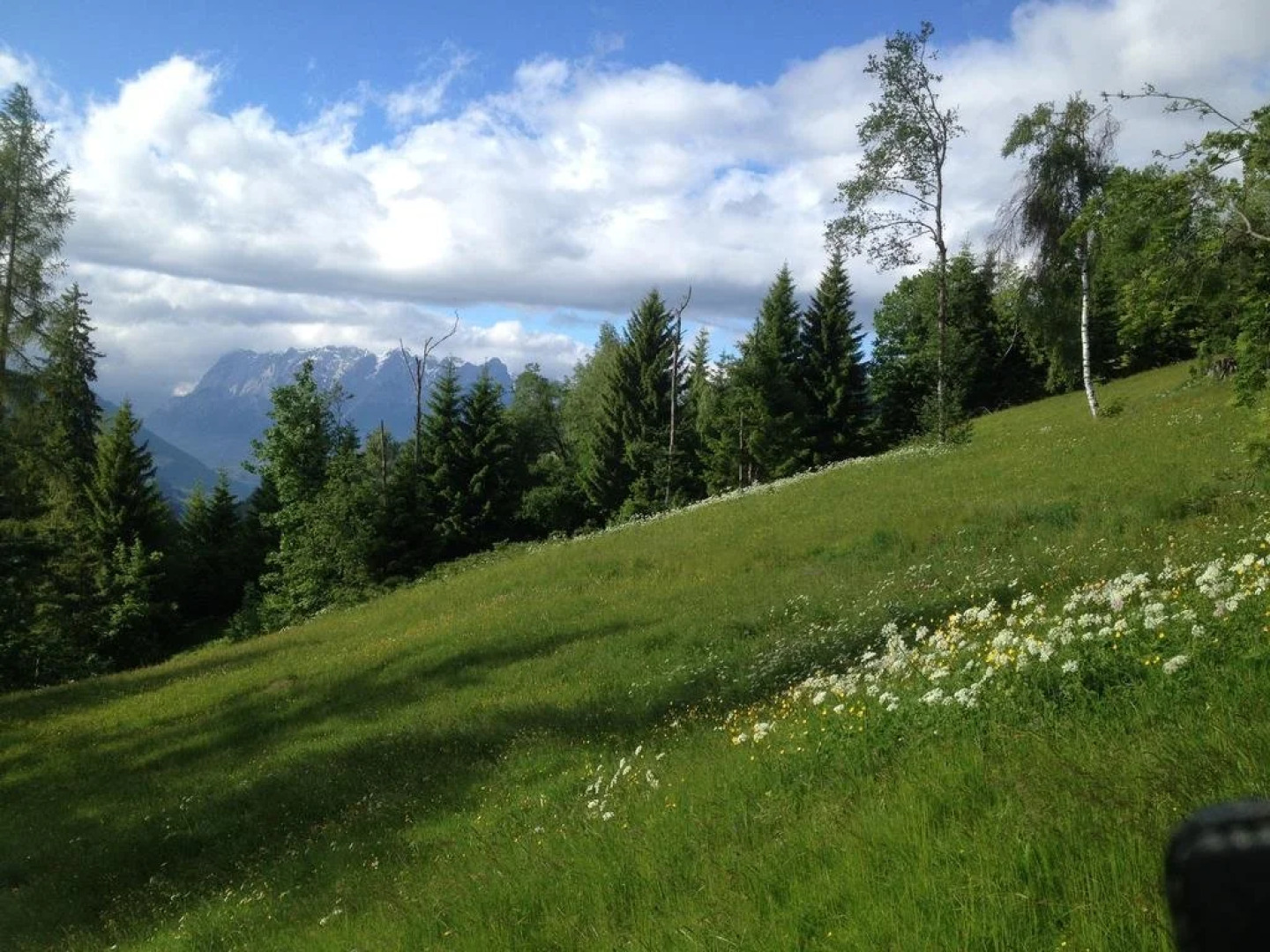 Freiraum 9 Living Apartment