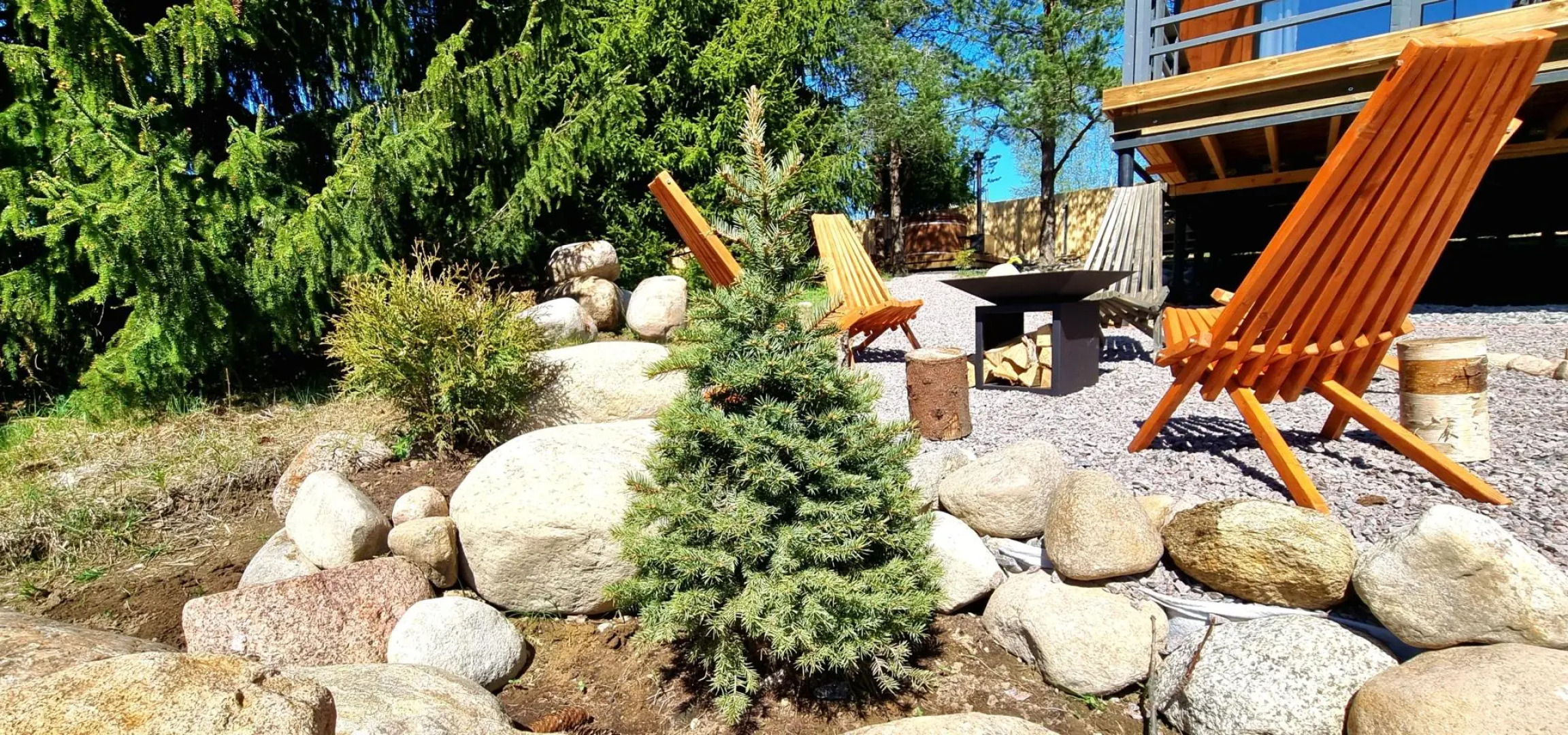 Ёлки Вокруг