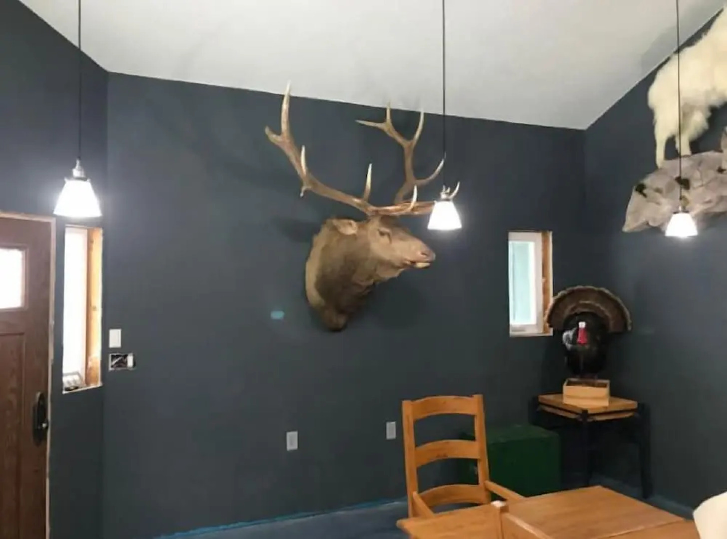 The Last Resort Lodge