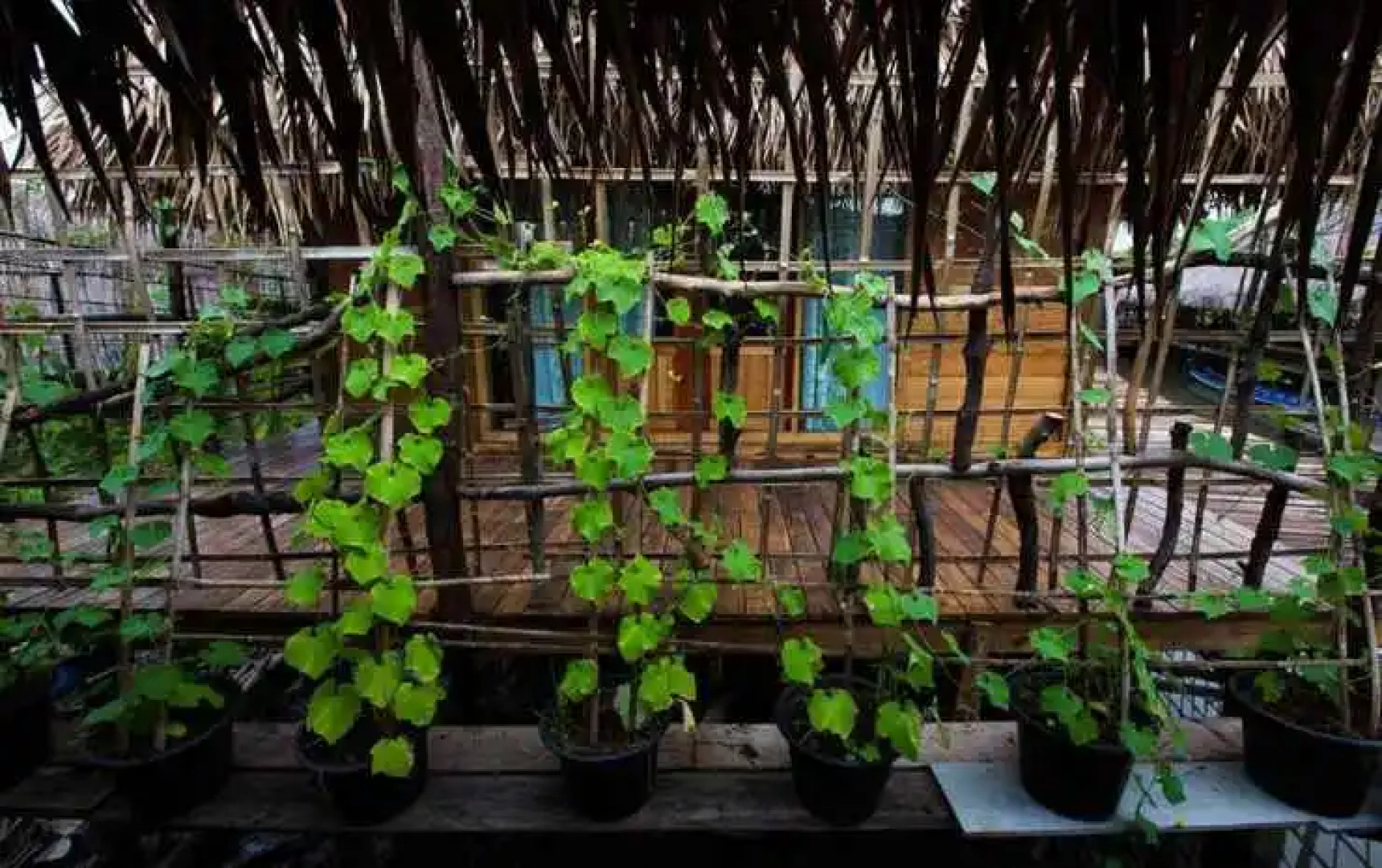 Baan​ Tonlamphu​ Pakpra