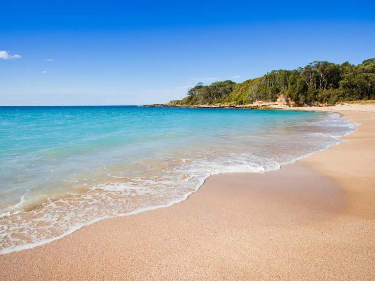 NRMA Murramarang Beachfront Holiday Resort