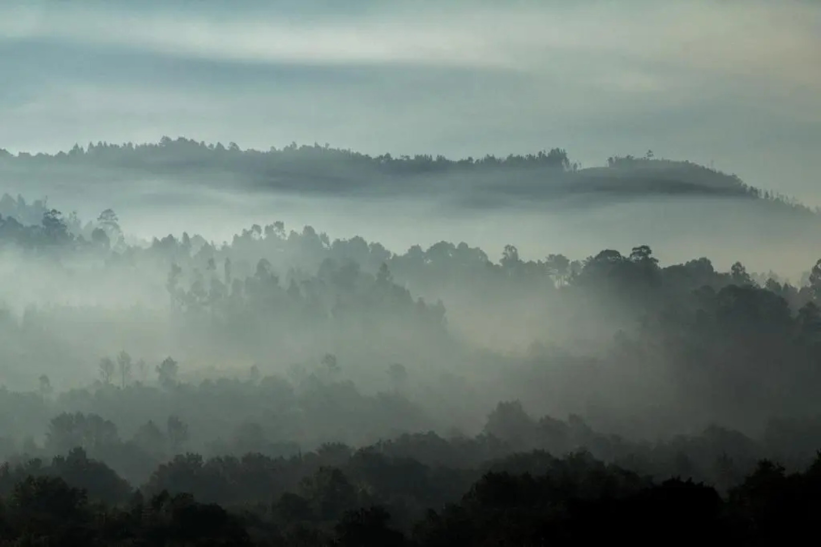 Casas de São Martinho