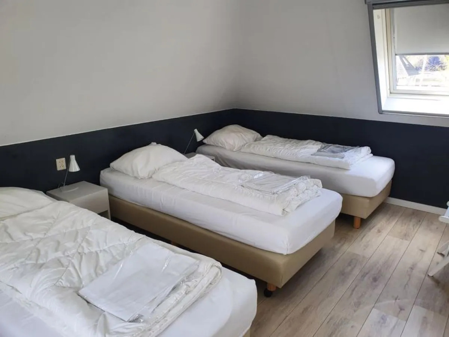 Bungalowpark It Wiid 38963