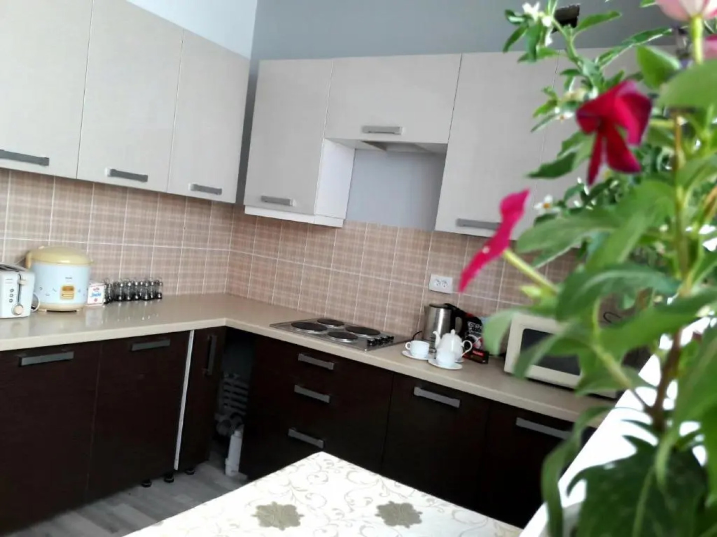 Хостел «Жюль Верн» Ташкент