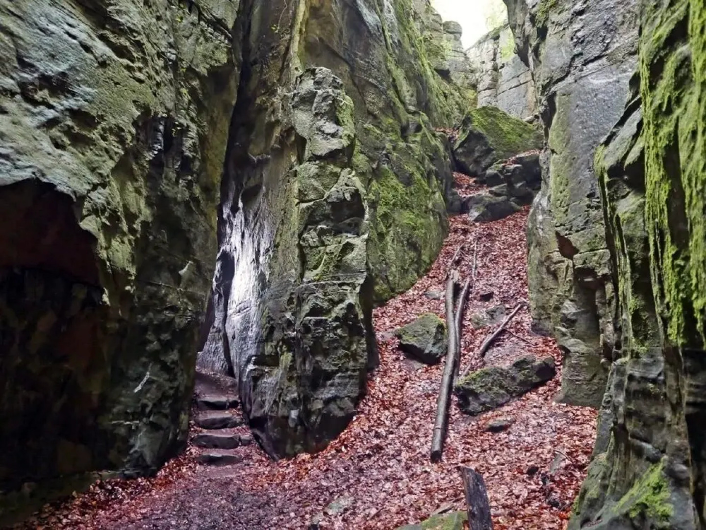 Safaritent at Camping Belle-Vue 2000