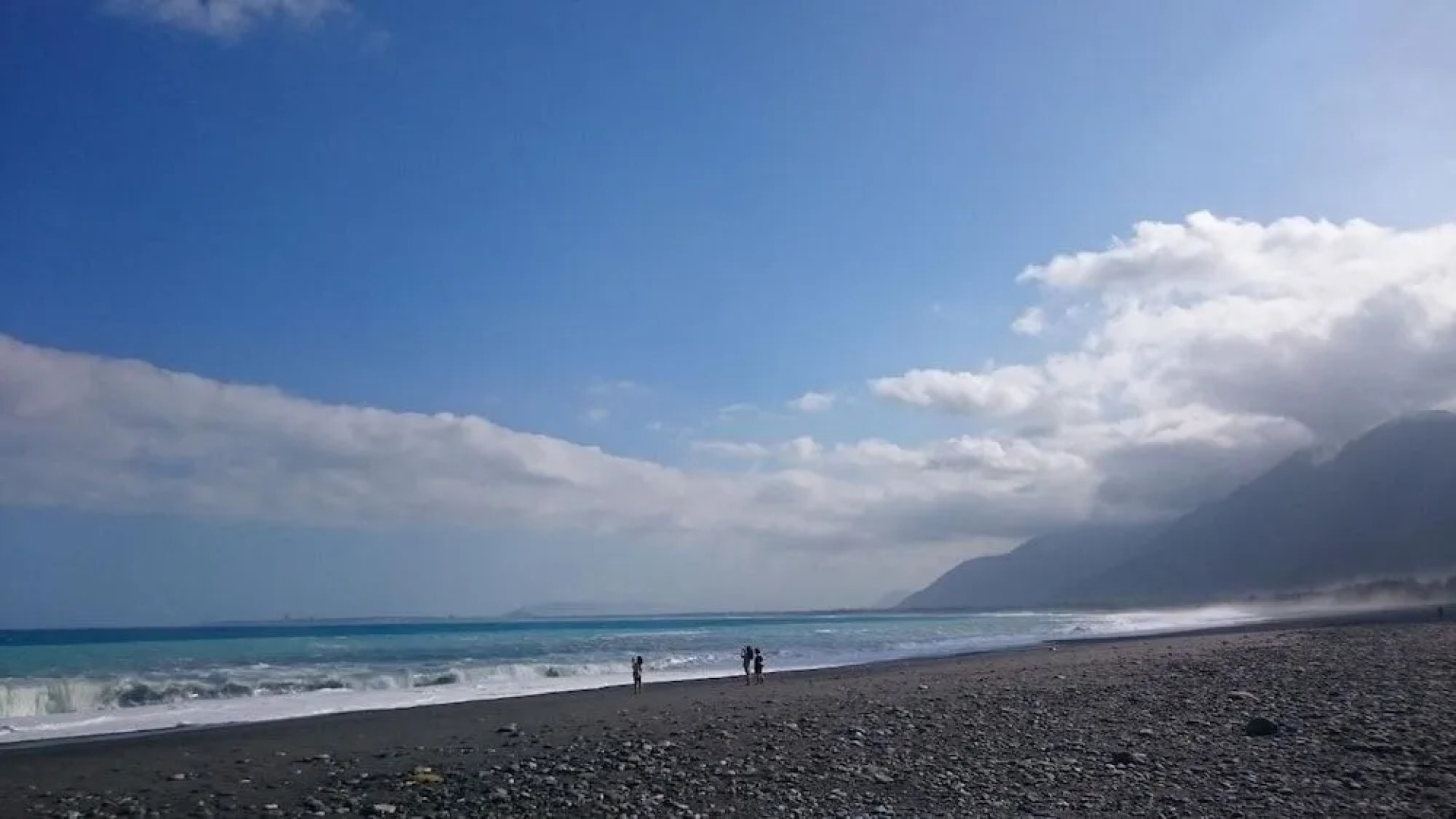 Flower and Green Collection