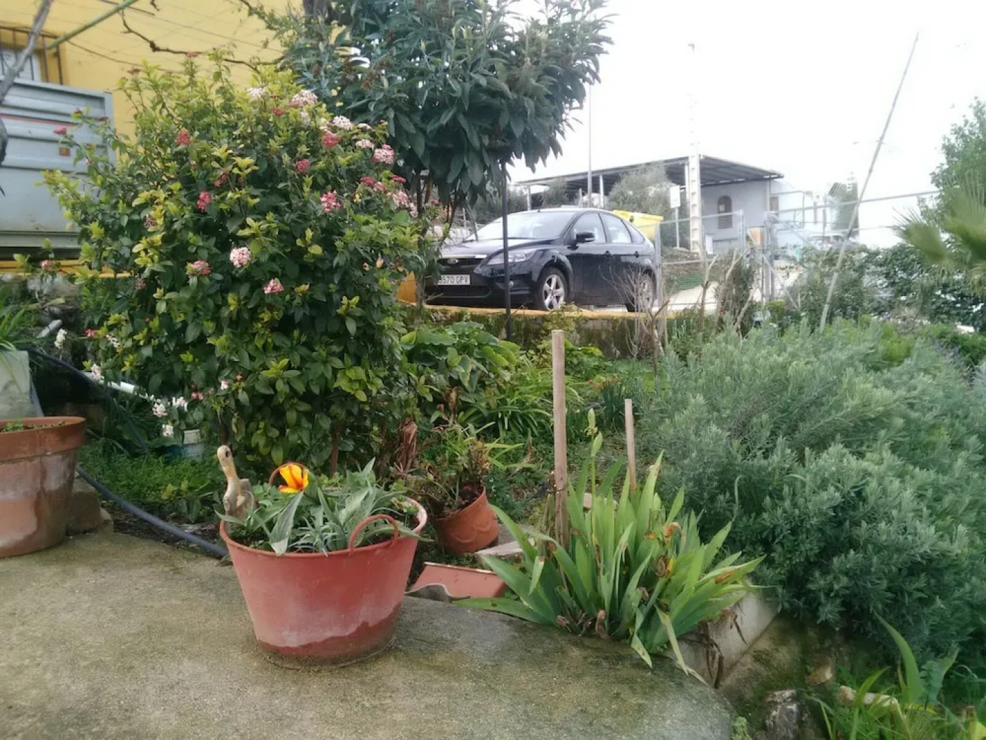 Alojamiento Rural Casa la Cruz