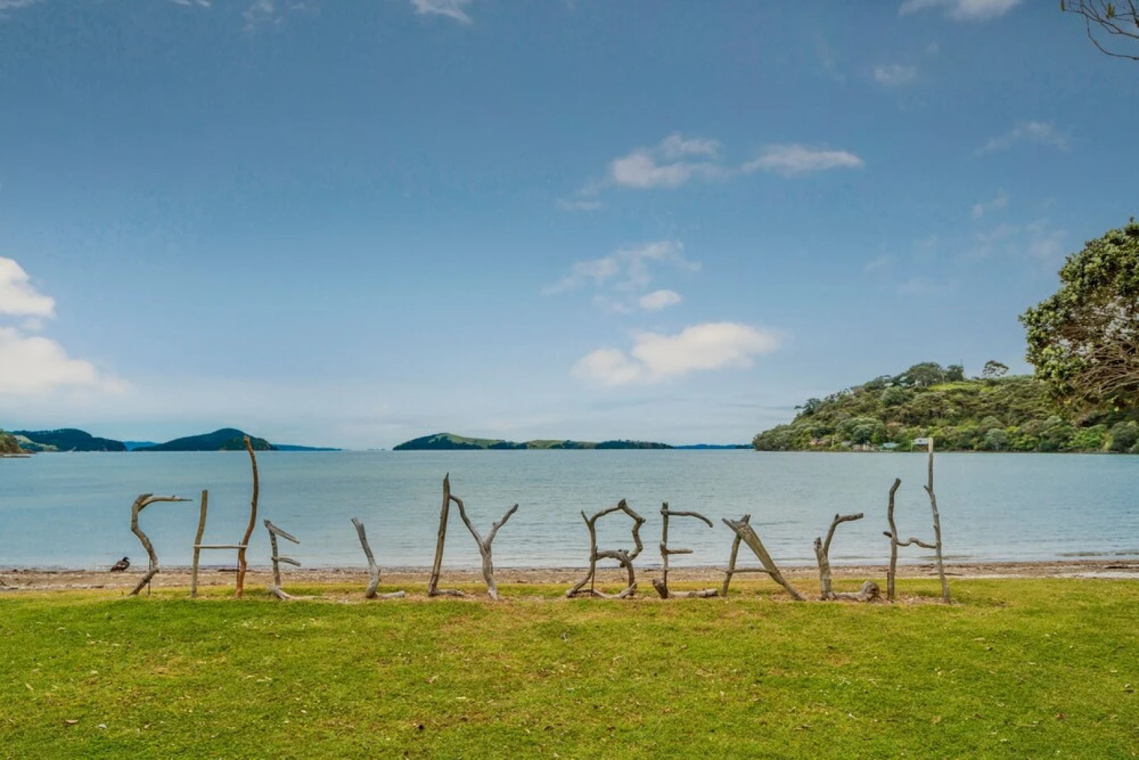 Coromandel Shelly Beach TOP 10 Holiday Park