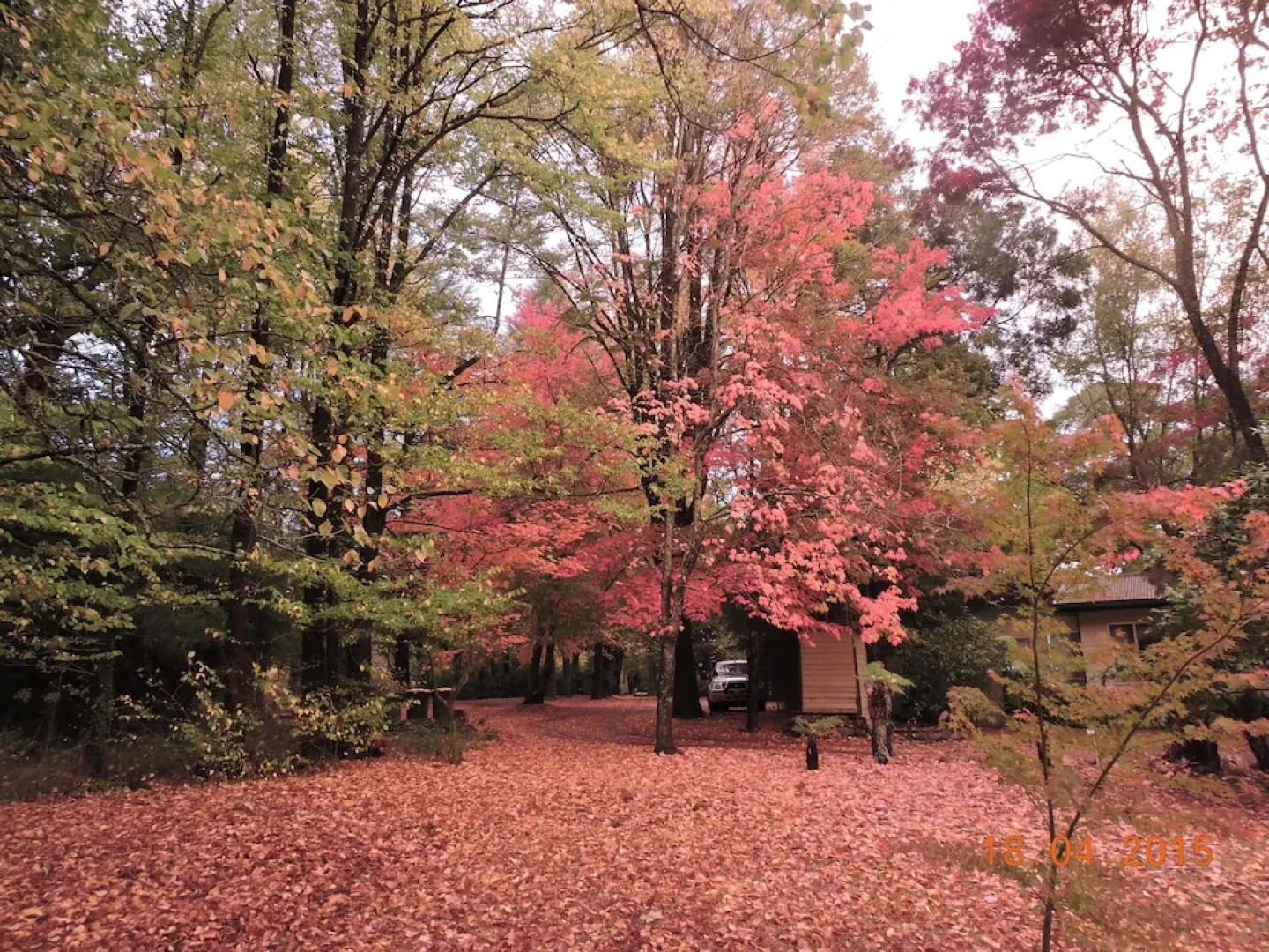 Alpine Riverside Cottages