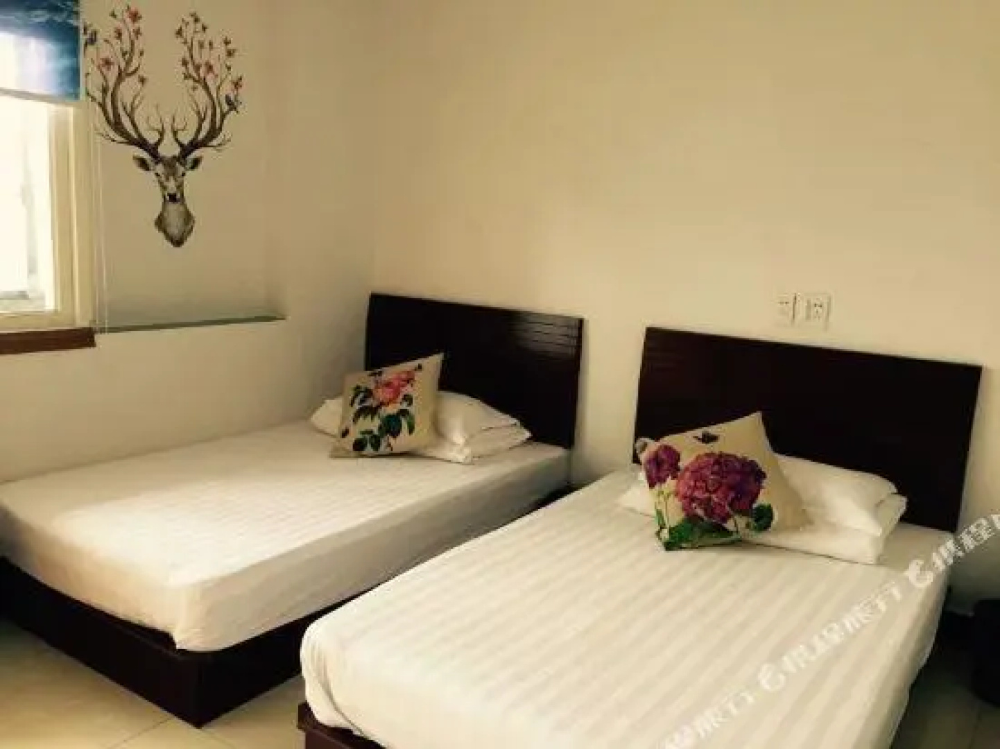 Ayun Inn