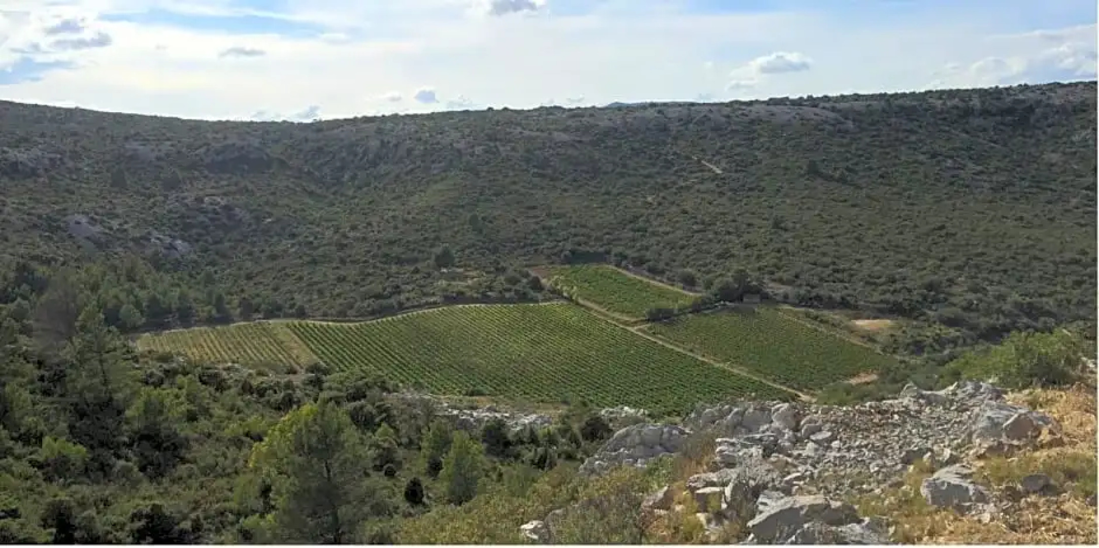 Domaine de la Clotte