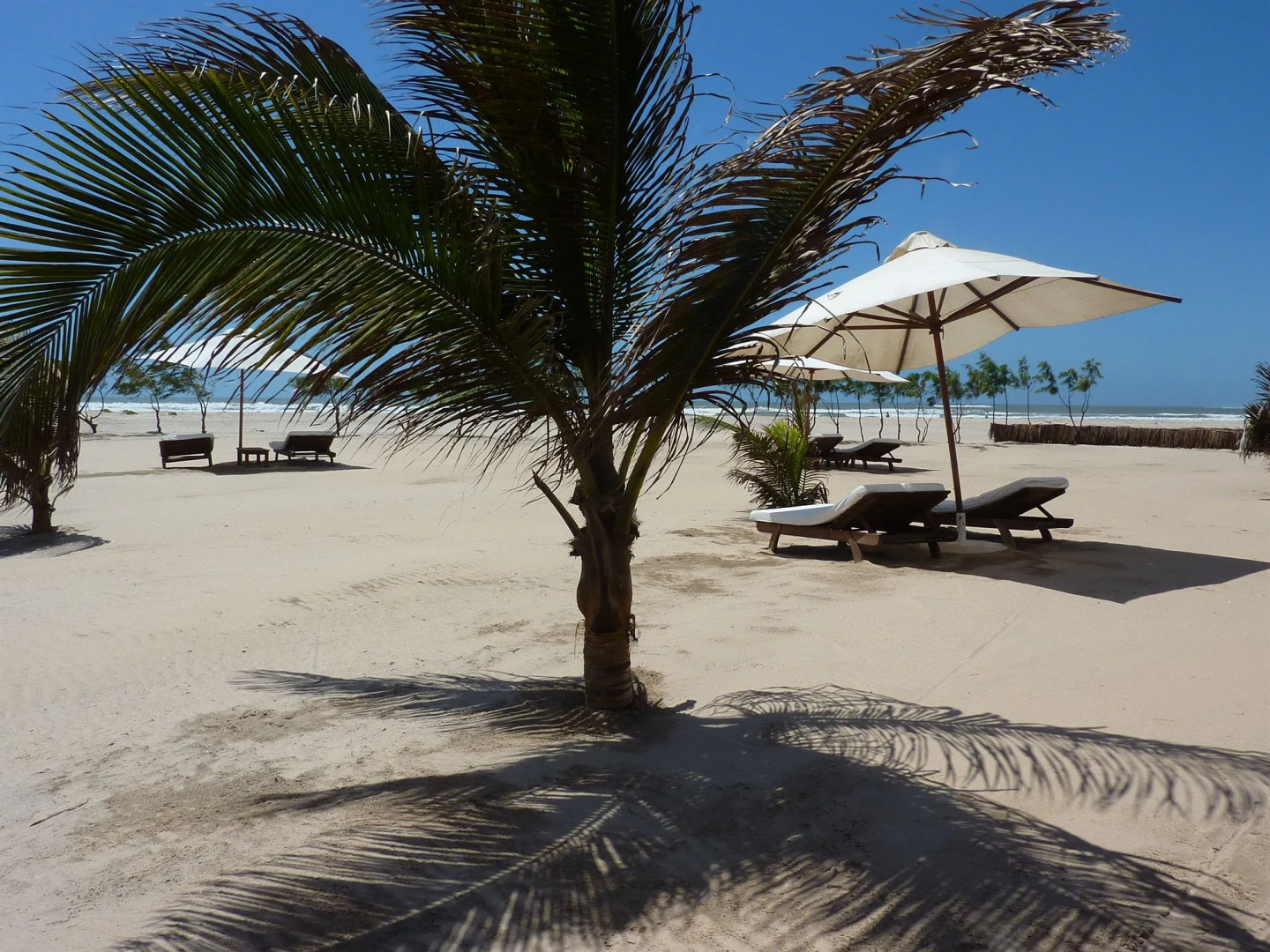 Ocean Beach Resort & Spa