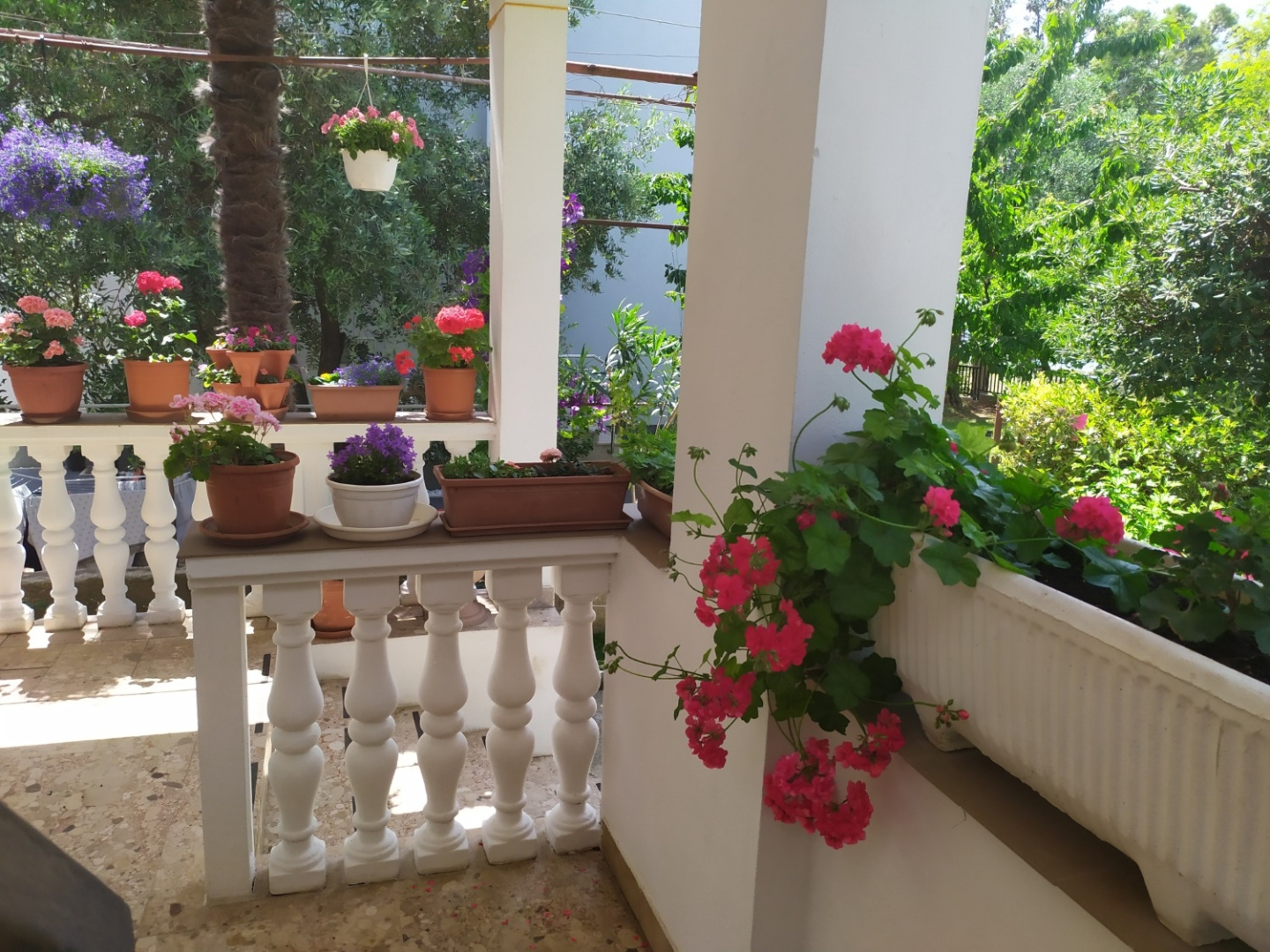 Room Aleksandra - 10 m from sea: R7 Bibinje, Zadar riviera
