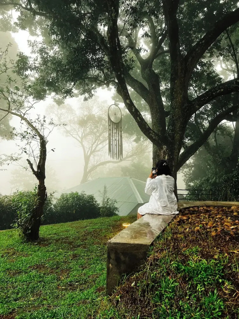 Tentgram Plantation Hostel Suryanelli