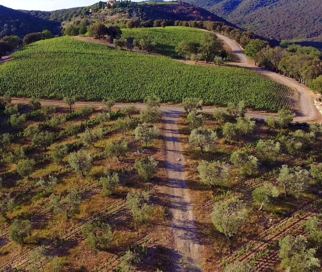 Castello Di Vicarello