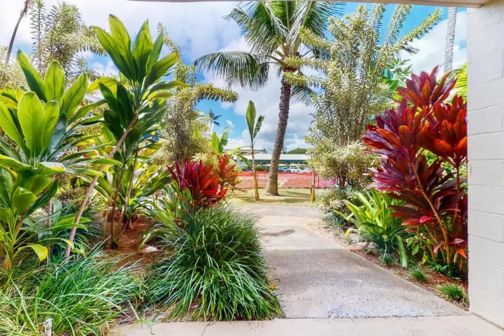 Islander On The Beach 258