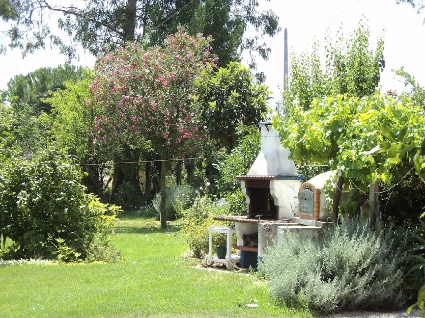 Quinta Retreat With Pool and Olive Grove