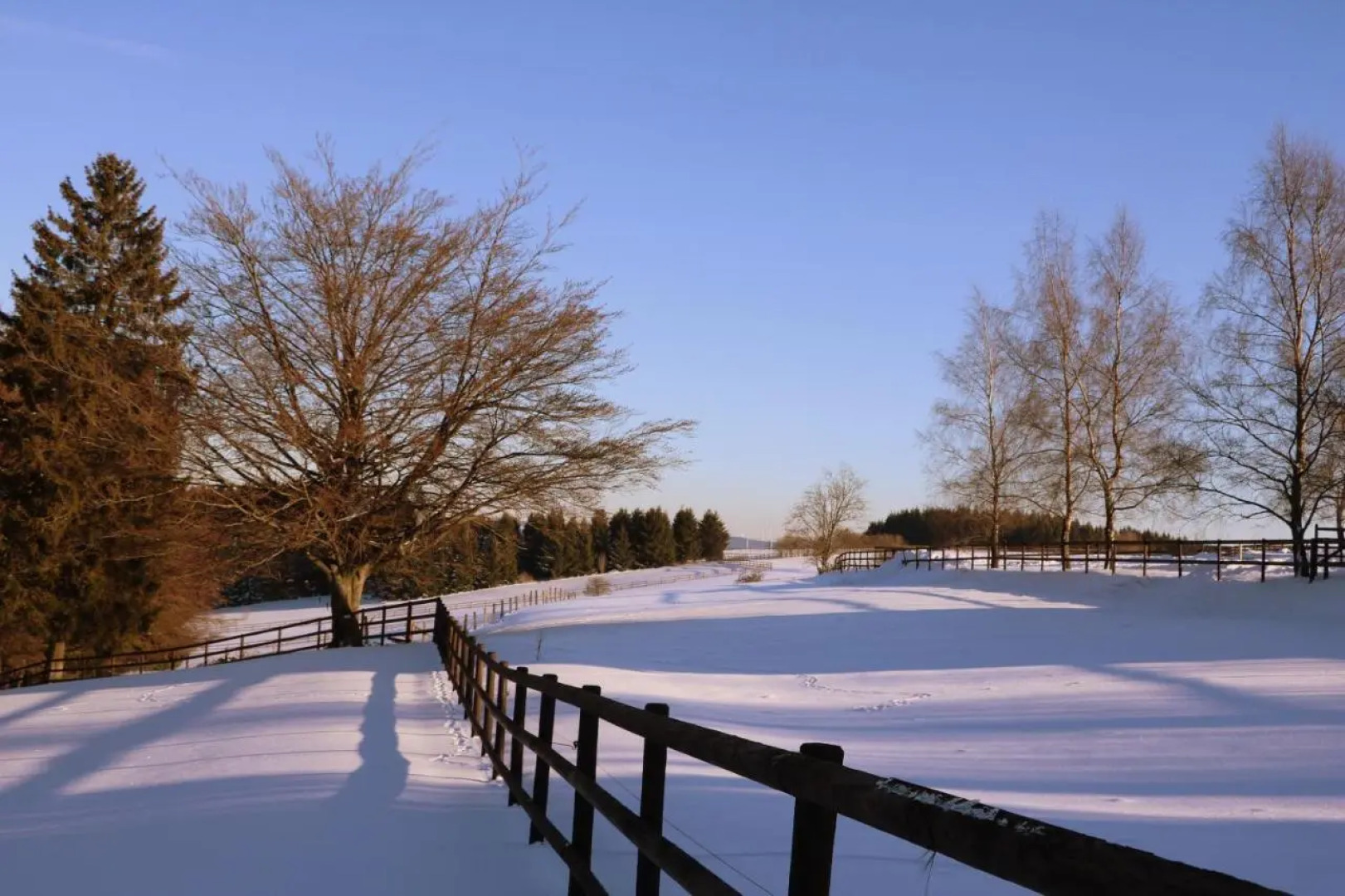 Vakantiehuis De Lounge