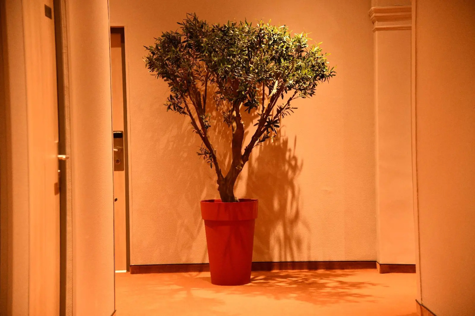 Hotellerie Notre Dame de Lumieres