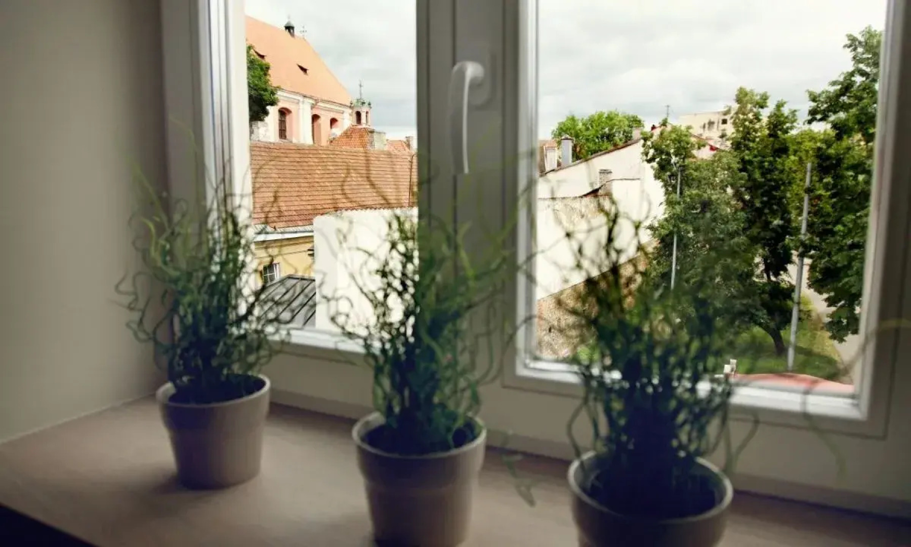 Отель City Hotels Rūdninkai