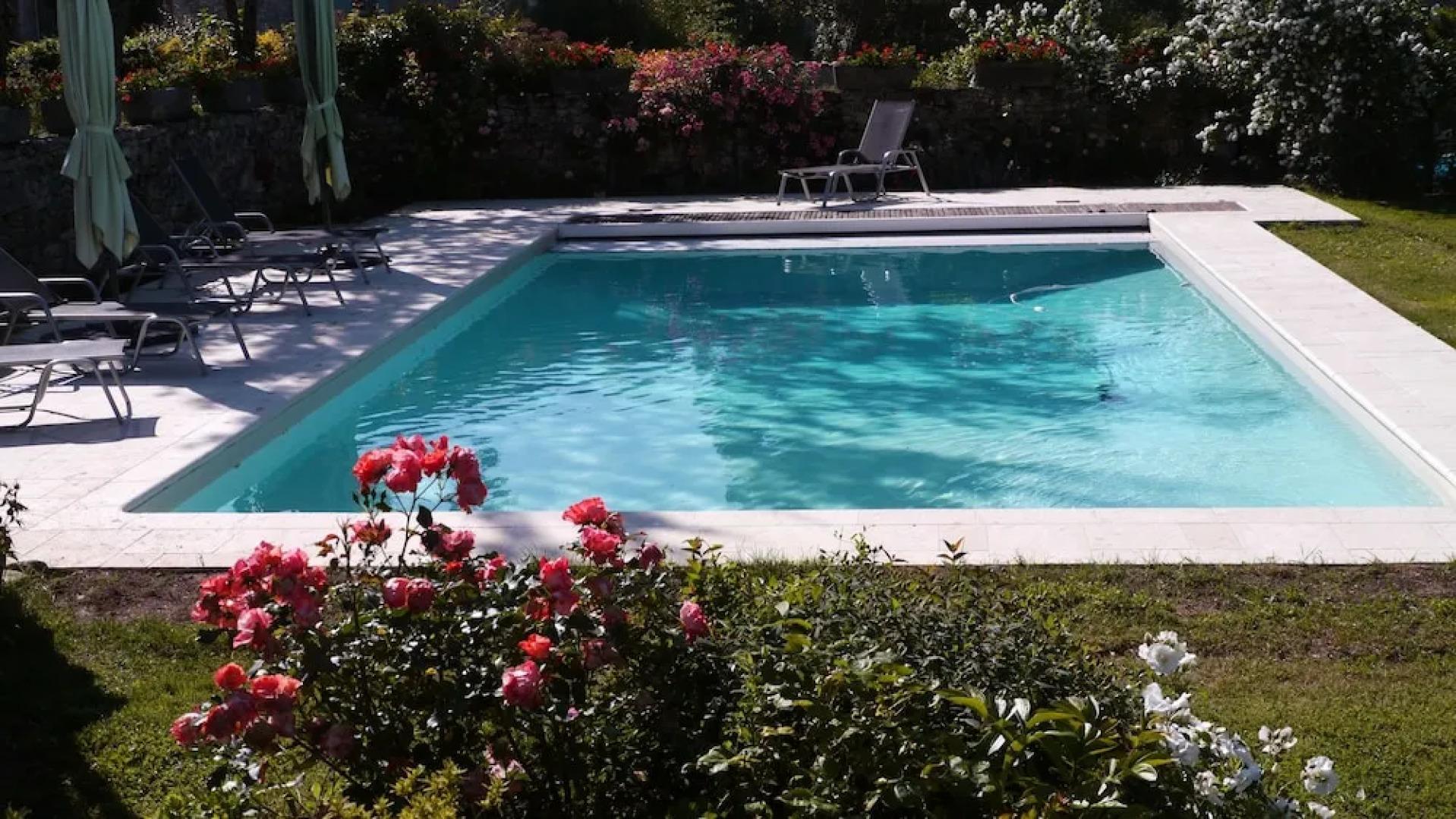 Le Chant des Oiseaux