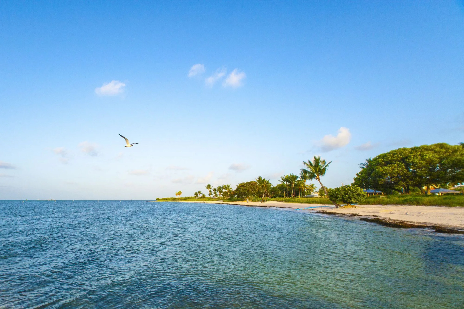 Skipjack Resort & Marina