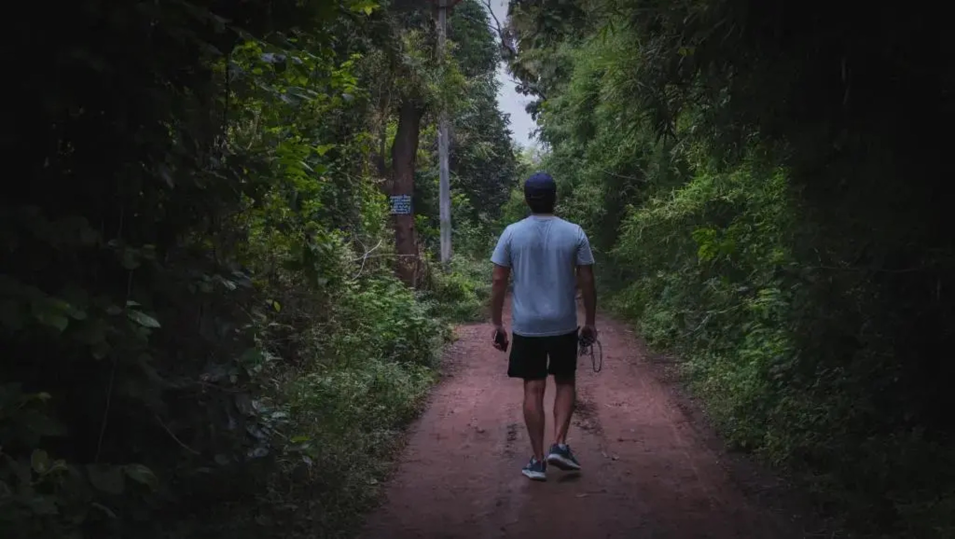 Rewa Hotels & Resorts