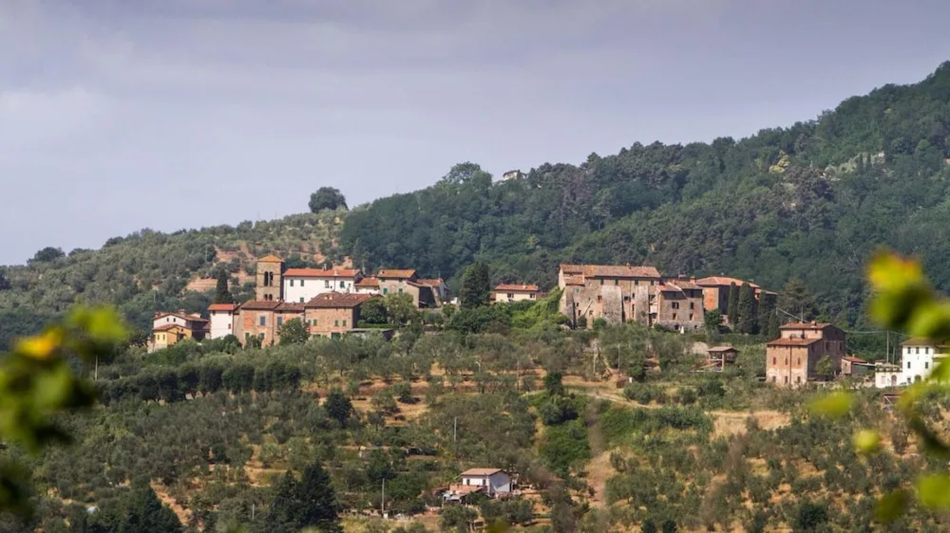 Villa Sissi 10 2 in Massa e Cozzile